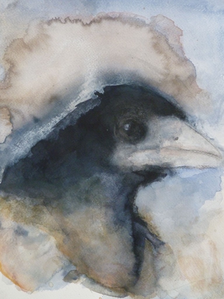 'Crow 1', 2012, from the series '2012 Specimens'
