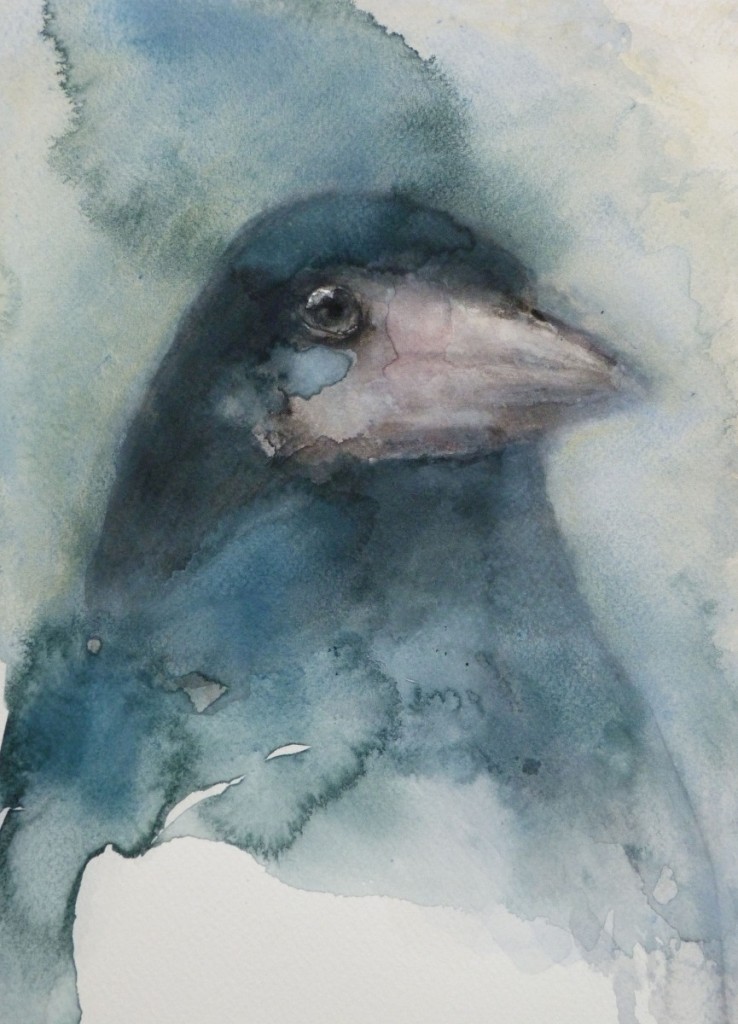 'Crow 2', 2012, from the series '2012 Specimens'