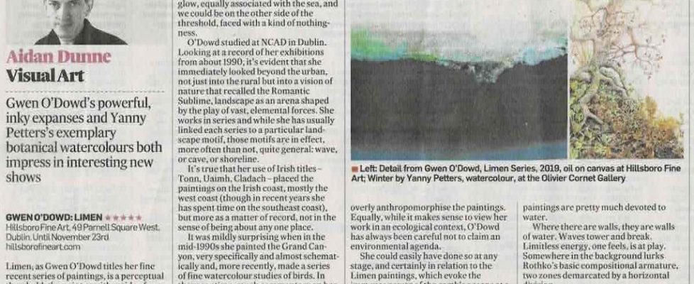 Review by Aidan Dunne in the Irish Times, 5 November 2019