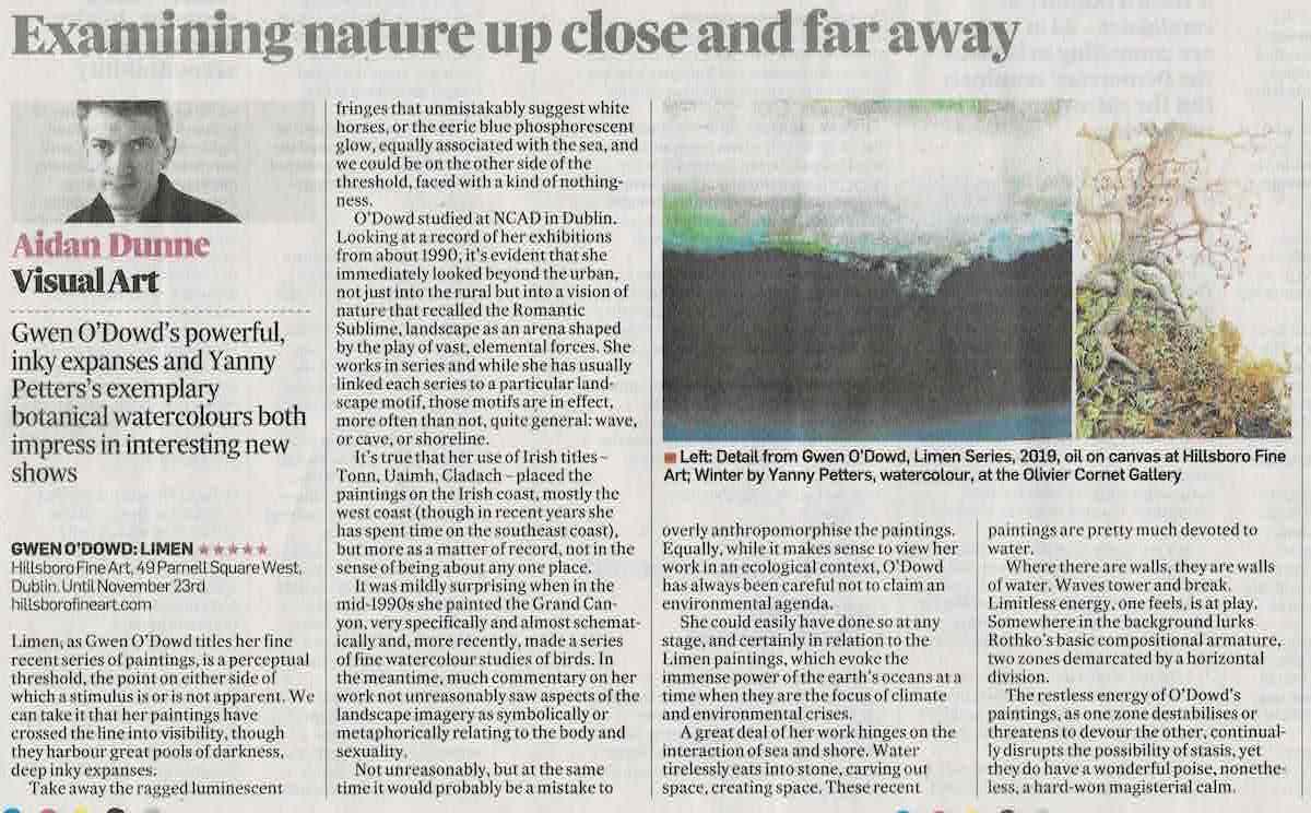 Review by Aidan Dunne in the Irish Times, 5 November 2019